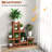 Paylee Solid Wood Plant Stand 6 Tier
