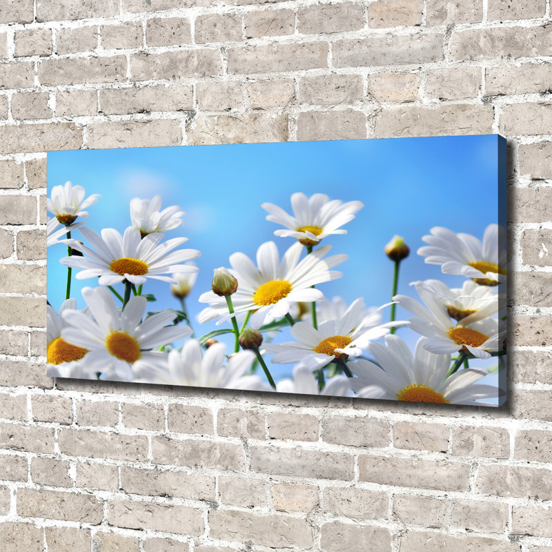 Daisies - Wrapped Canvas Print