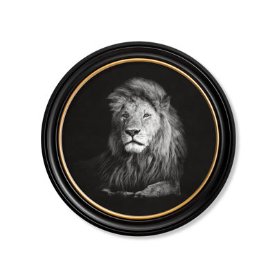 Lion by Mid-1800s - Single Picture Frame Print on Archival Matt 230gsm Paper