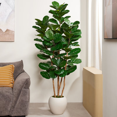 Figuier artificiel avec tronc en bois véritable et grande jardinière blanche, plante de figuier figuier pour salon bureau