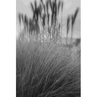 " Photography/Landscape 180 " by DAG, Inc