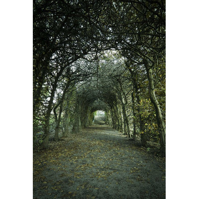 Enchanted Garden - Photographie sur toile tendue