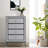 Jannike Mirrored 4-Drawer Dresser