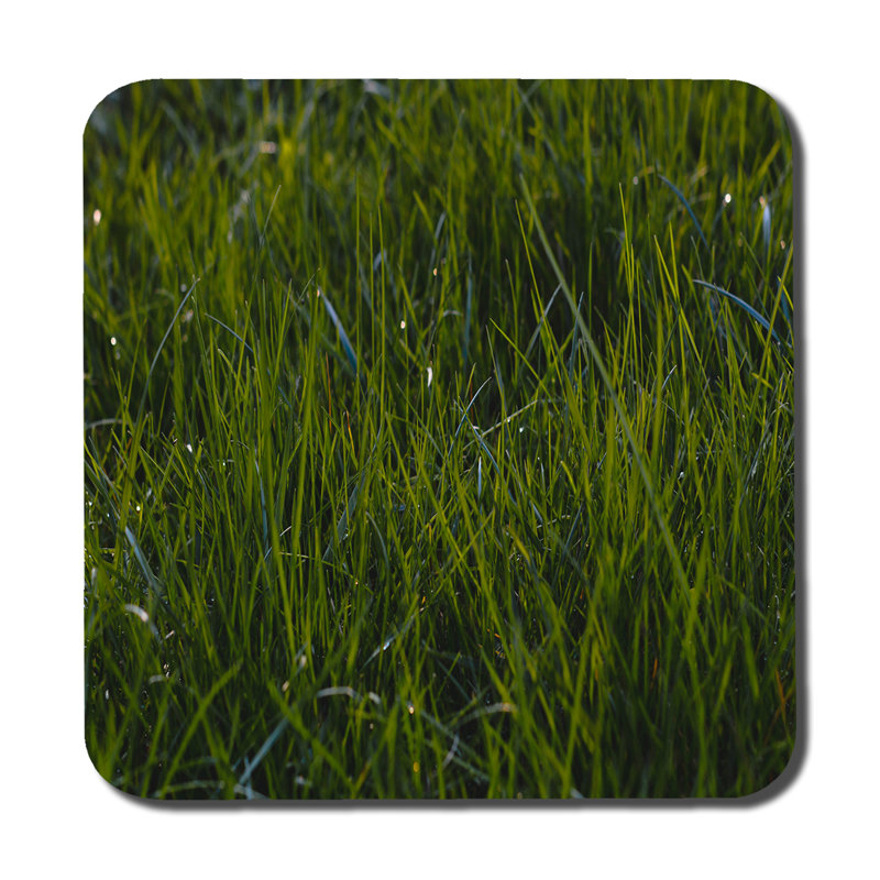 Dubreuze Square 6 Piece Coaster Set