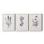 «Simply Imperial», ensemble de 3 impressions sur toile encadrées-1184703155-1184703150