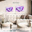 Ronce mauve sur papillon mauve-107686070