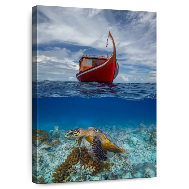 Brampt Exotic Maldivian Turtle, 45" H x 30" W