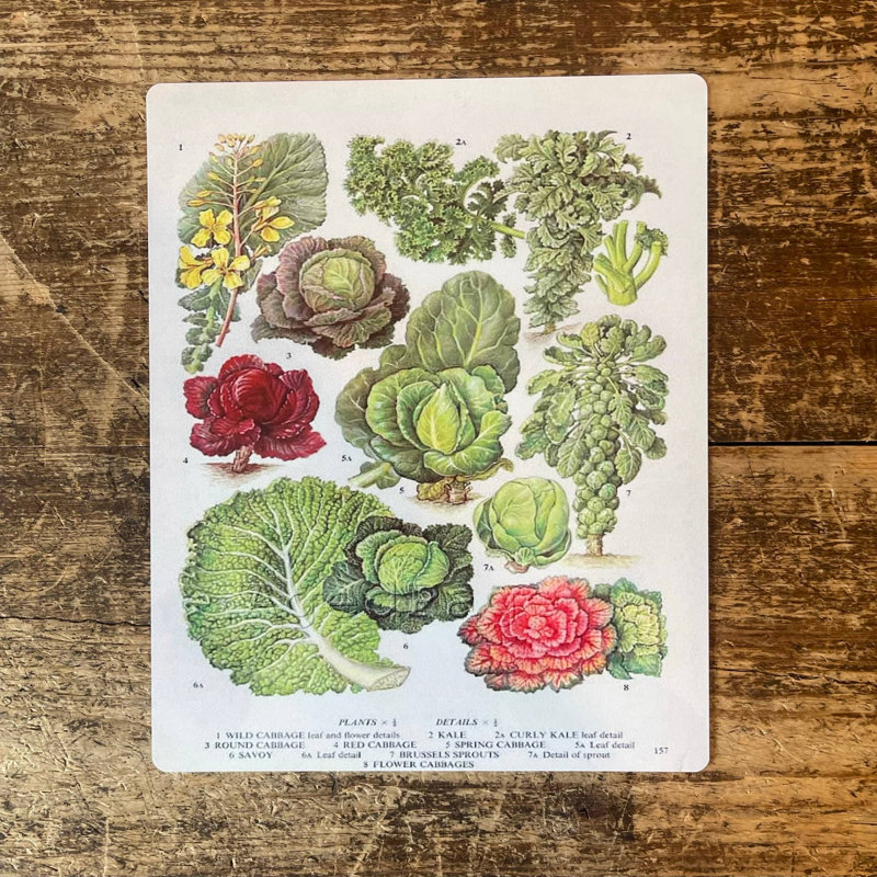 Handmade Plants & Flowers Wall Decor on Metal