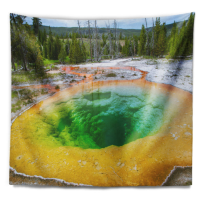 Tapisserie de piscine Bright Morning Glory, H 78 po x l 92 po