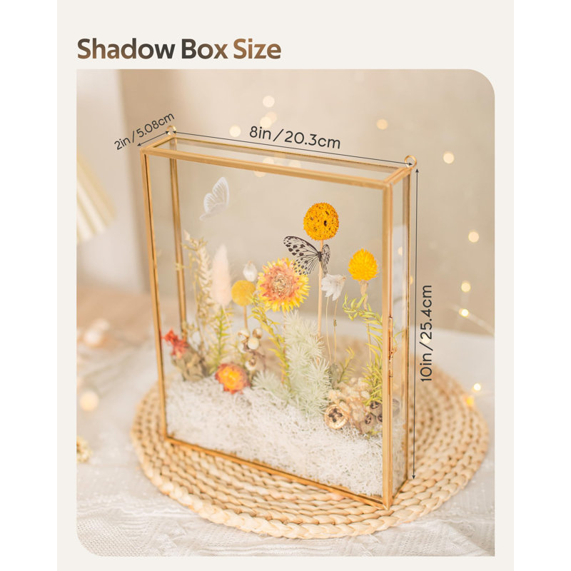 Shadow Box Frame 8X10, Deep Glass Shadow Box Display Case, 3D Shadow Boxes Picture Frame For DIY Wedding Dried Flowers, Memories, Tickets And Photos