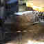 Photos des clients 1 de 1