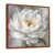 Brown Floater Framed