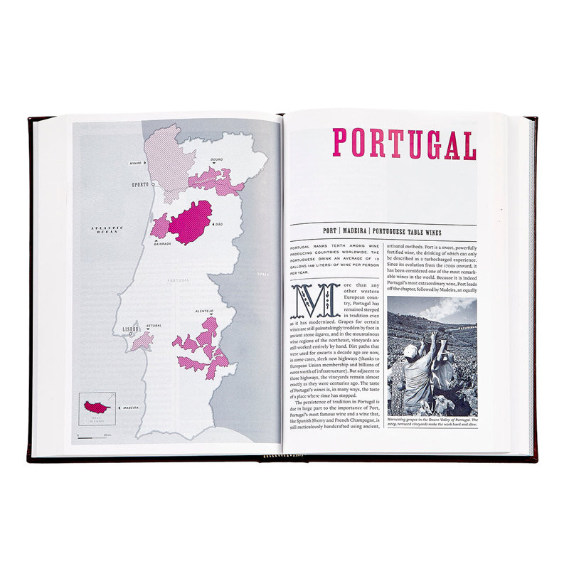 The Wine Bible Leather Bound Book