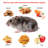 10.75x5.43x4.41in Humane Live Mouse Trap Cage with Sensitive Trigger