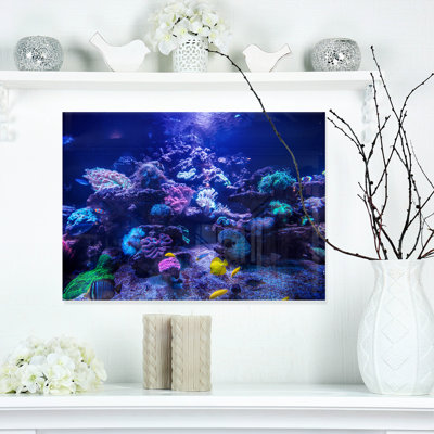 Aquarium Reef, Tank - Photograph Print