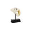 Tooth Tiger Skull-42650009
