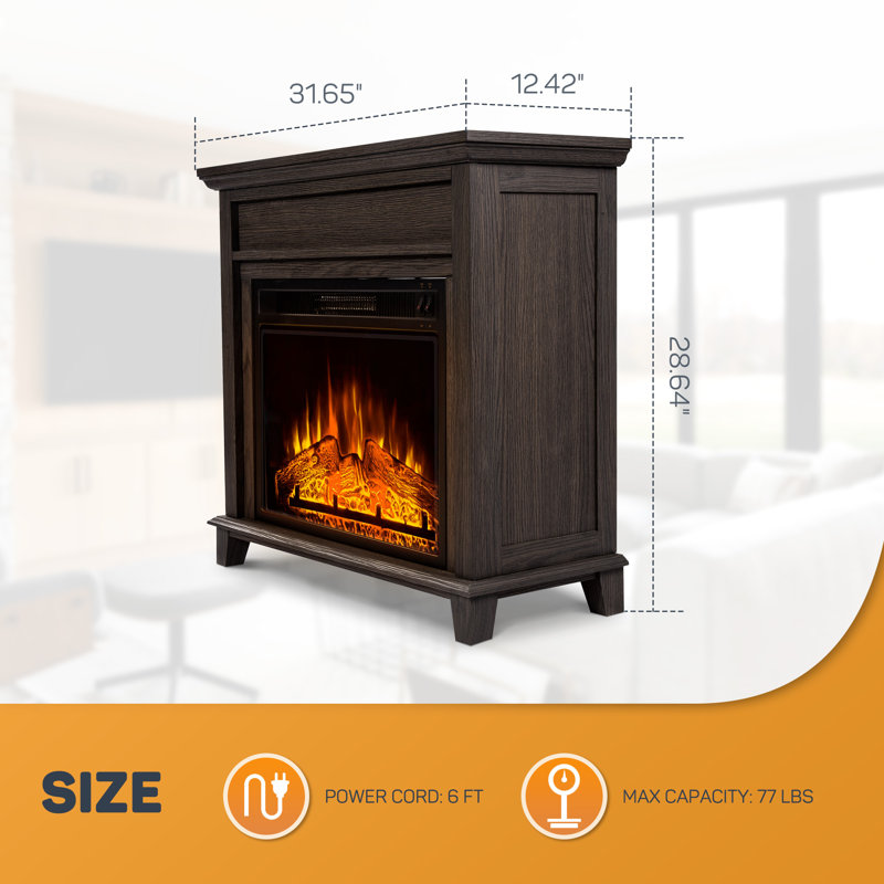 Annique 31.65" W Electric Fireplace, Black
