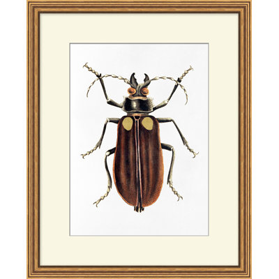 Gilded Beetle 3 Print by Lillian August