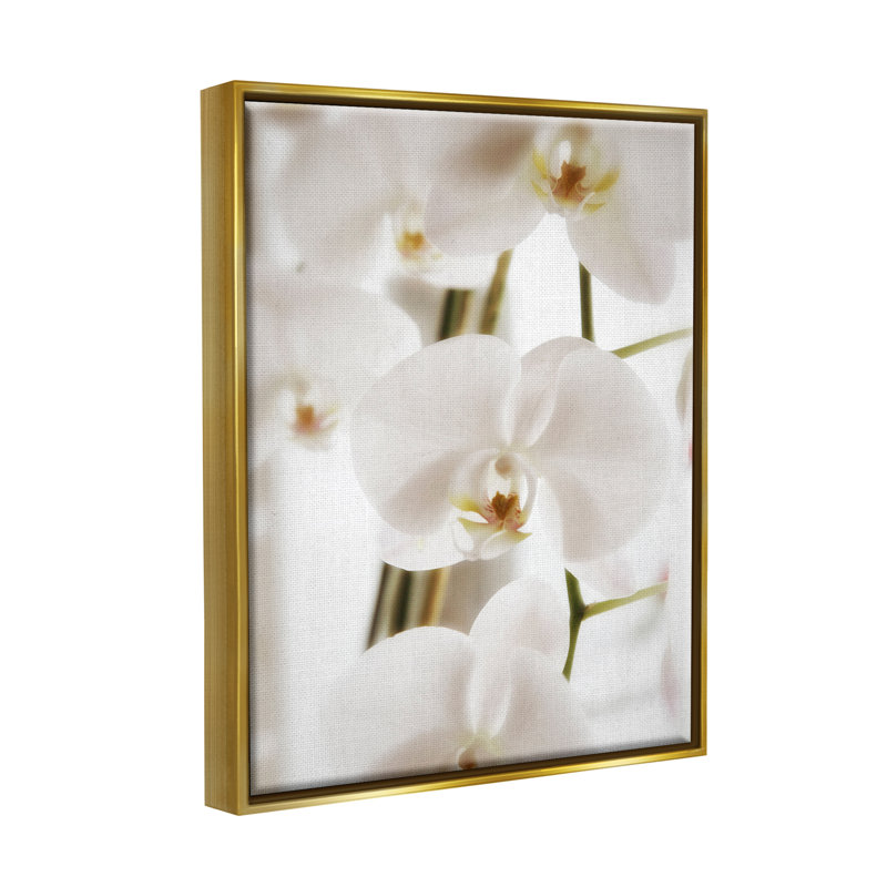 Élégant art mural sur toile flottante avec pétales d'orchidées blanches par Savanah Plank, H 31 po x l 25 po x P 1,7 po