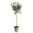 Faux Olive Tree Tree in Ceramic Pot-2101393589