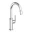 Heaney Single Handle Pull Down Kitchen Faucet-1310979326