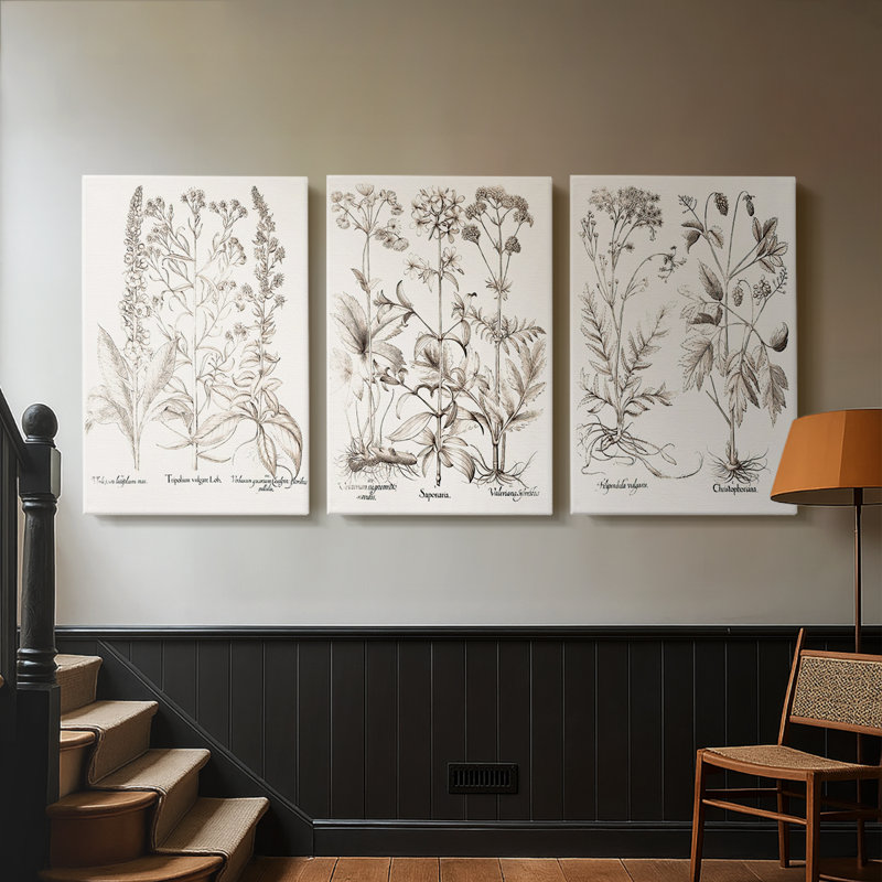 Sépia Besler Botanicals 9 - Toile tendue sur mesure - 3 pièces, H 18 po x l 36 po