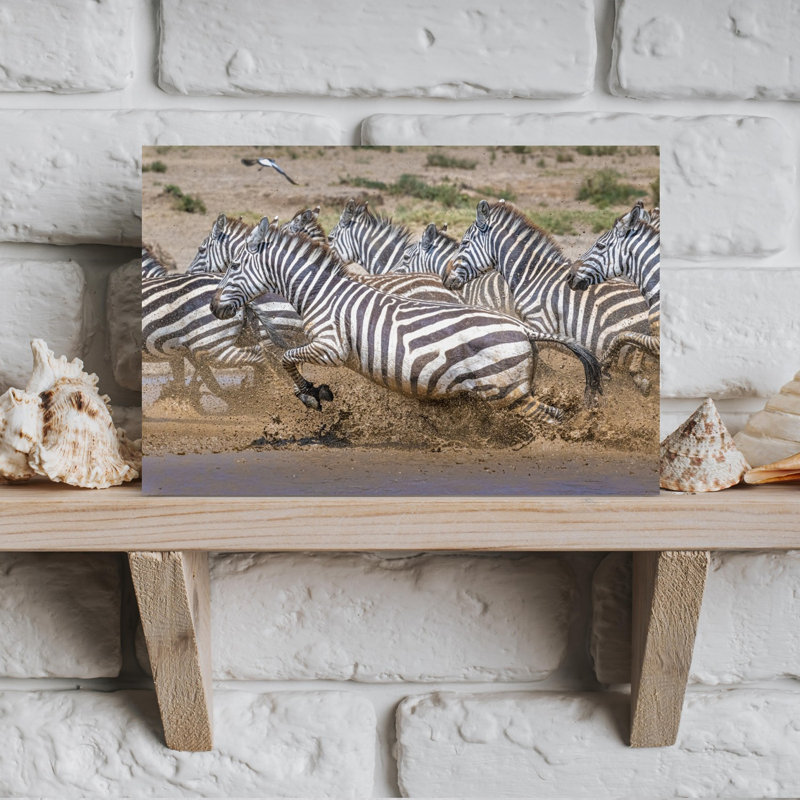Wild Zebras Splashing Contemporary Zebra Nature Wildlife Wall Art Print by Jeffrey C. Sink - 1 Piece Wrapped Canvas Wall Art