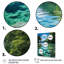 Art mural sur toile Lakeside Retreat II - Lakehouse-1381732917-1381732916