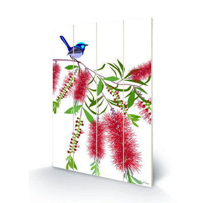 Wren Callistemon by Mokoh - No Frame Print on Wood