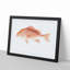 Red Snapper by Sherman F. Denton - Picture Frame Painting Print-55771790-55771795