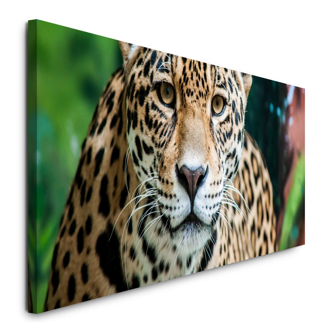 Leinwandbild Jaguar in der Natur