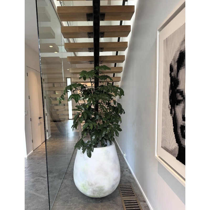 Clay Planter