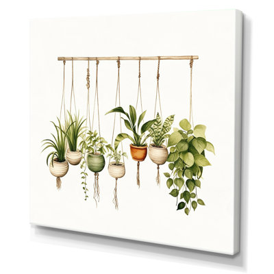 Impression sur toile de plantes botaniques suspendues