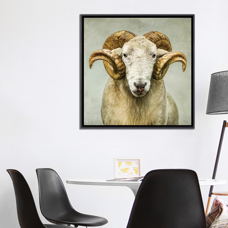 « Stare » par Mark Gemmell-impression d’art graphique, Pas de tapis, H 37 po x l 37 po x P 1,5 po
