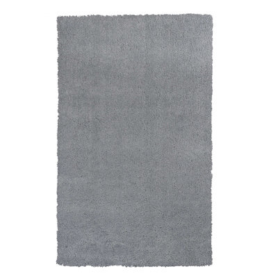 2' X 4' Polyester Grey Area Rug