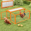 Chicken Coop