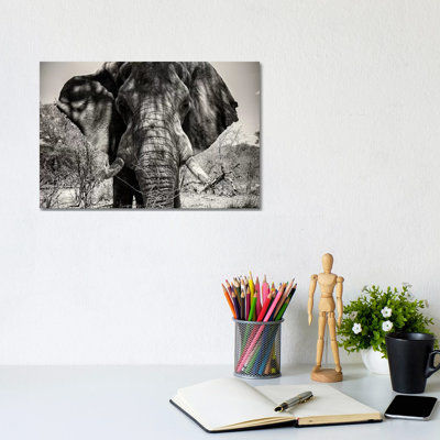 Elephant Portrait by Philippe Hugonnard - Gallery-Wrapped Canvas Giclée on Canvas