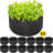 VEVOR Growing Kit-100614000