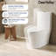 Toilette allongée moderne monobloc Ace 1,6 GPF-111041675-88234901