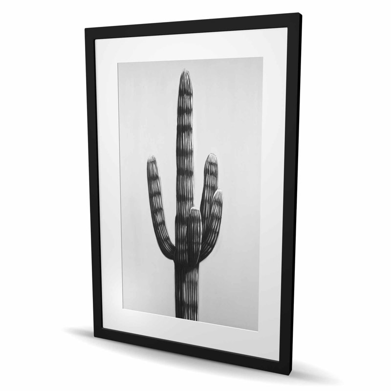 Grand cactus - impression botanique encadrée noire et blanche, H 36 po x l 24 po