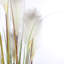 Faux Pampas Grass Grass in Pot-93756714