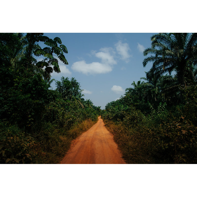 African Dirt Road by BethanyFank - Wrapped Canvas Print, 30cm H x 46cm W