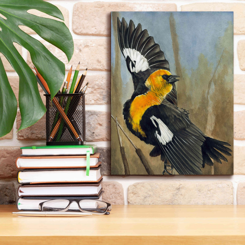 Impression sur toile Kaydi The Flirt On Canvas par Barbara Keith, H 16 po x l 12 po x P 0,75 po
