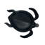 Curieuse tortue de mer - Patine