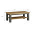Sabja Coffee Table with Storage-1267410630