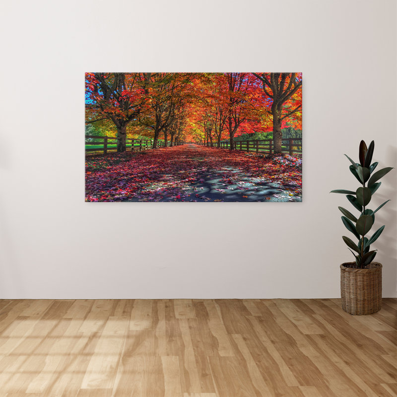 «Painted Forest Path», reproduction de photo sur toile tendue, H 18 po x l 30 po x p 1 po