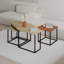 Bukurie Frame Nesting Coffee Table Set-527684990