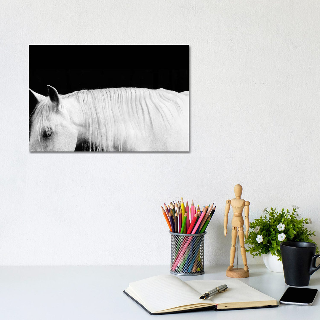 White On Black I von Samantha Carter - Galerie-verpackte Leinwand Giclée