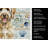 Yellow Labradoodle Coastal Sea Glass Kitchen Towel-871463543