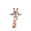 " Happy Giraffe " by Sisi & Seb-52936460-52936473-52936462